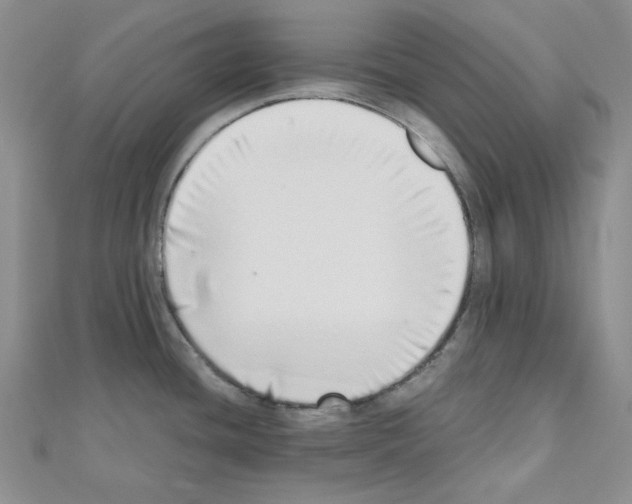 X0000110911436200907301532