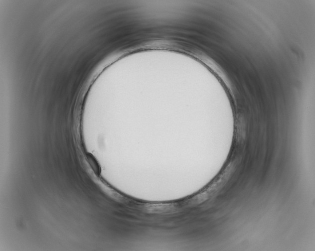 X0000110911437200907301532