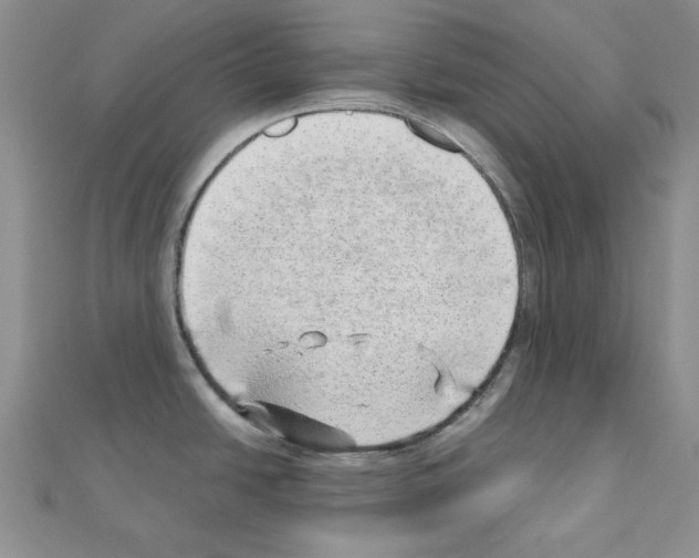 X0000110911438200907301532