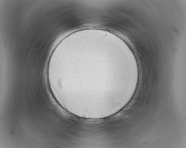 X0000110911440200907301532