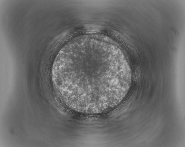 X0000110911441200907301532