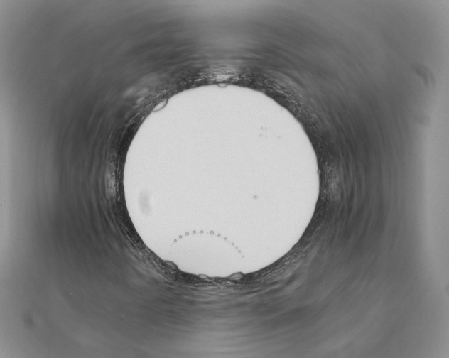 X0000110911442200907301532