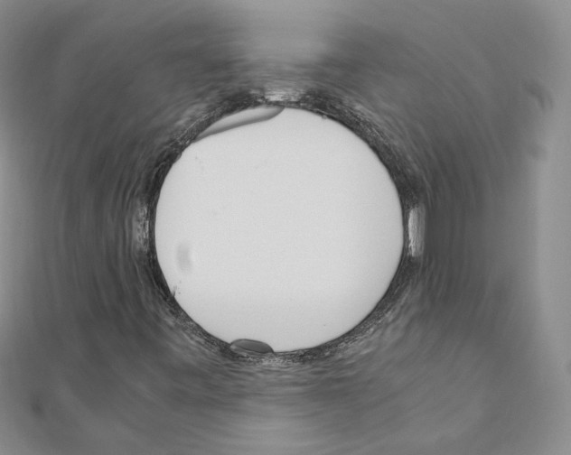 X0000110911443200907301532