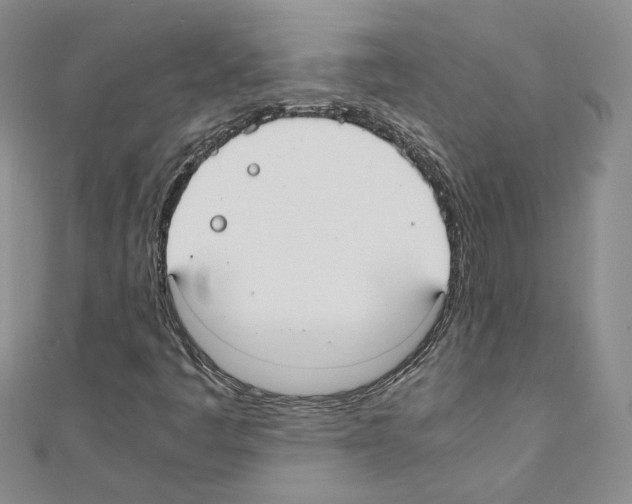 X0000110911445200907301532