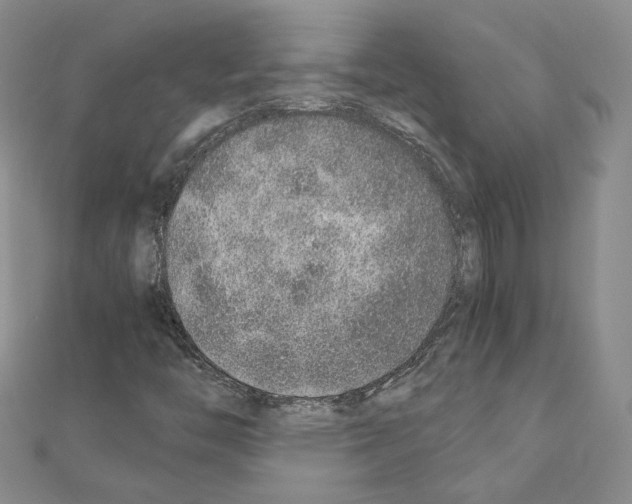 X0000110911446200907301532