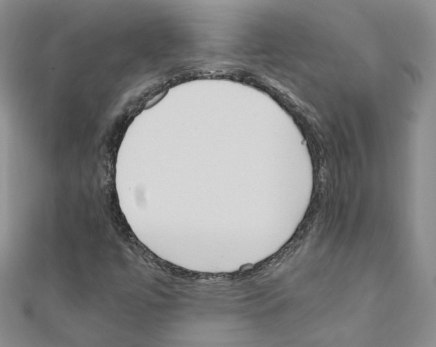 X0000110911447200907301532