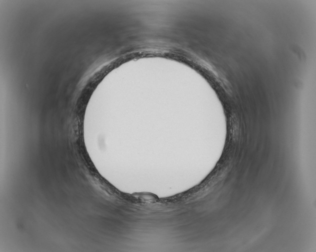 X0000110911448200907301532