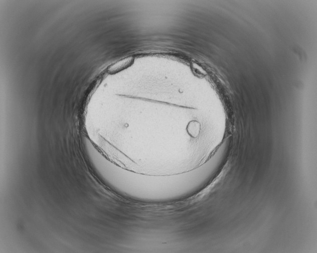 X0000110911449200907301532