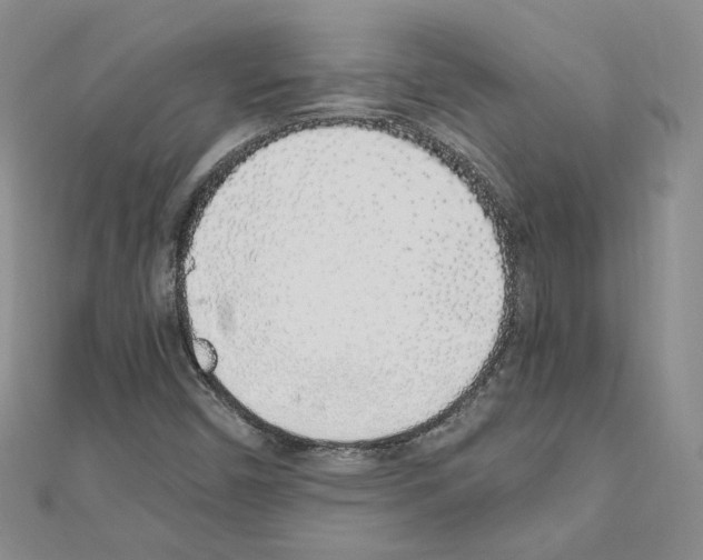 X0000110911450200907301532