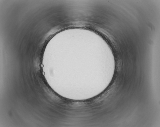 X0000110911451200907301532