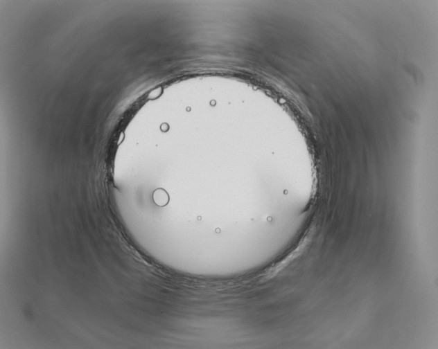 X0000110911453200907301532