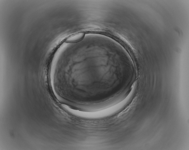 X0000110911455200907301532