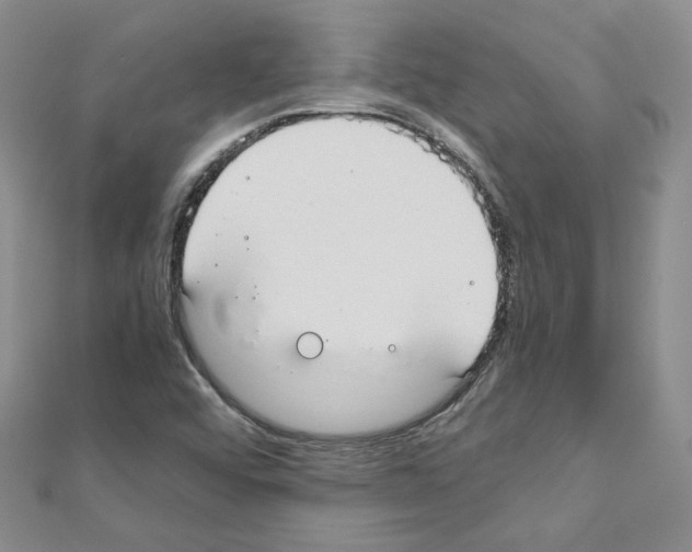 X0000110911456200907301531