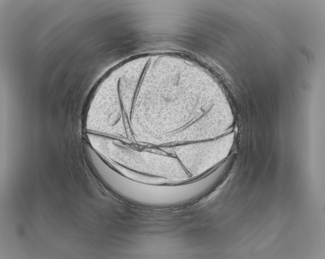 X0000110911457200907301531