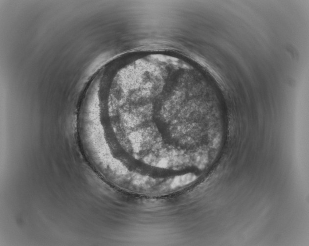 X0000110911459200907301531