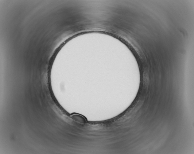 X0000110911460200907301531