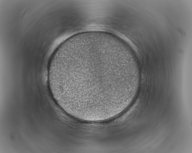 X0000110911461200907301531