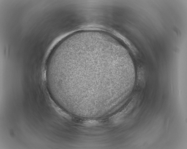 X0000110911462200907301531