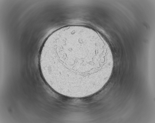 X0000110911463200907301531