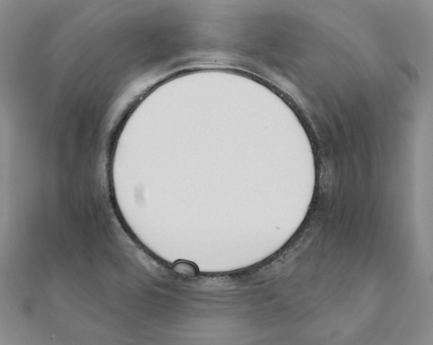 X0000110911464200907301531