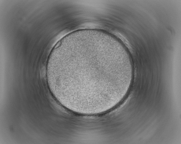 X0000110911465200907301531