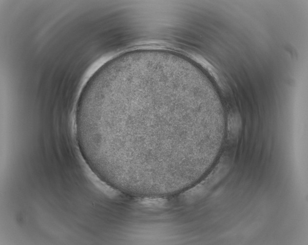 X0000110911466200907301531