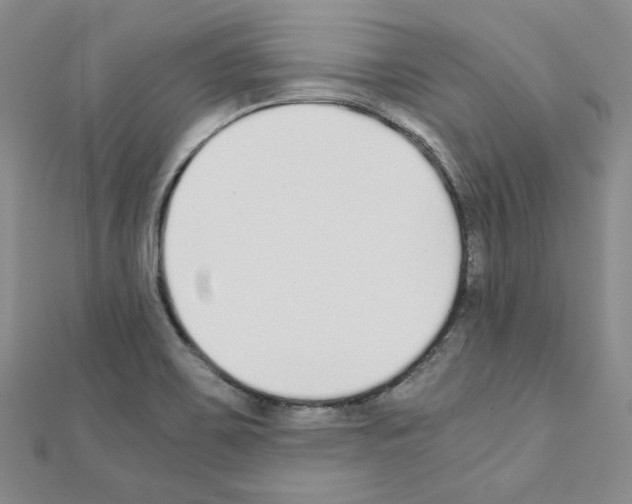 X0000110911467200907301531