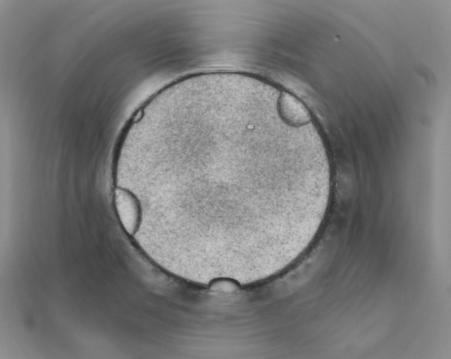 X0000110911469200907301531