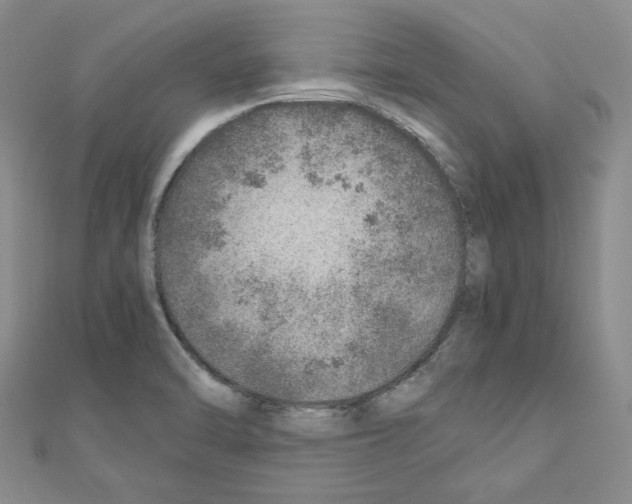 X0000110911470200907301531