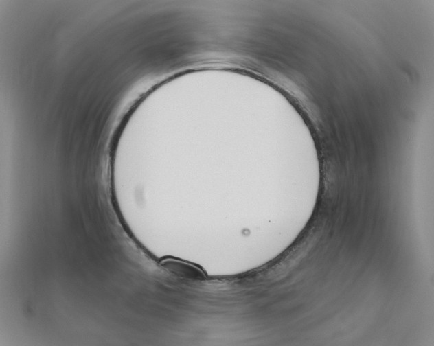 X0000110911472200907301531