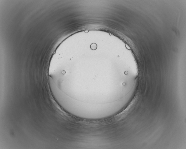 X0000110911473200907301531