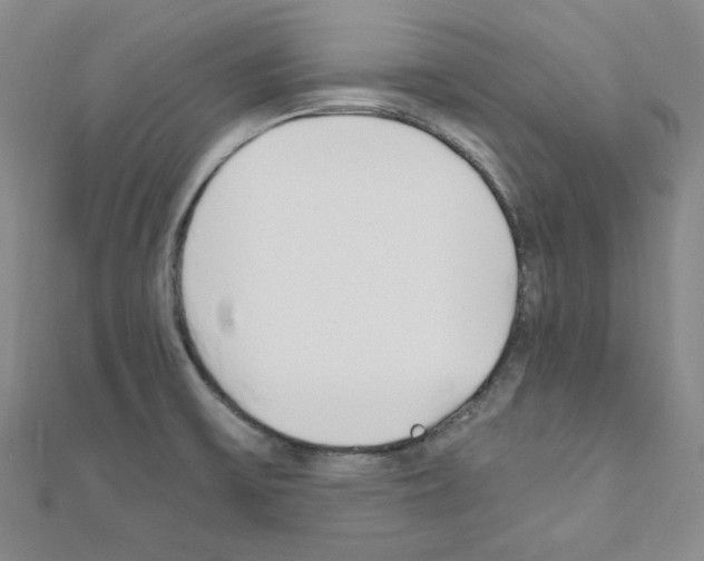 X0000110911475200907301531