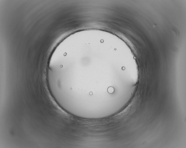 X0000110911477200907301531