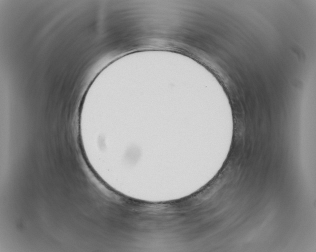 X0000110911479200907301531