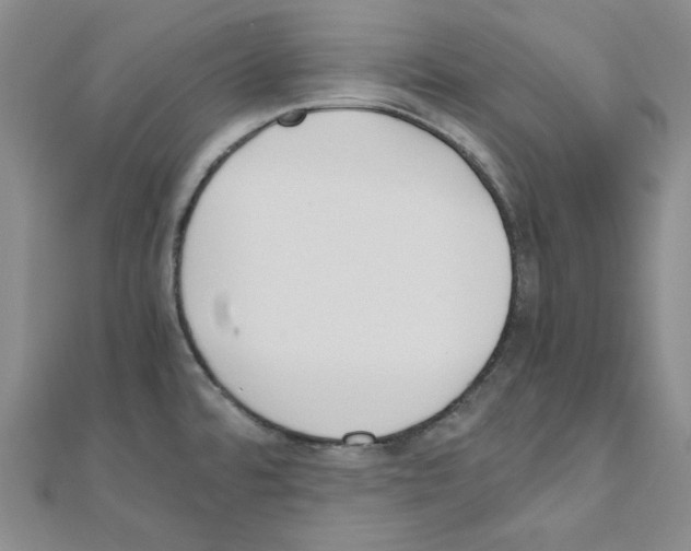 X0000110911480200907301531