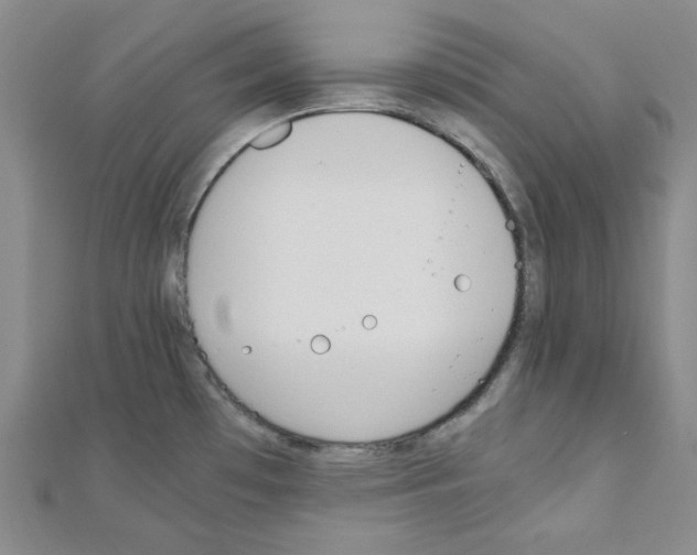 X0000110911481200907301531