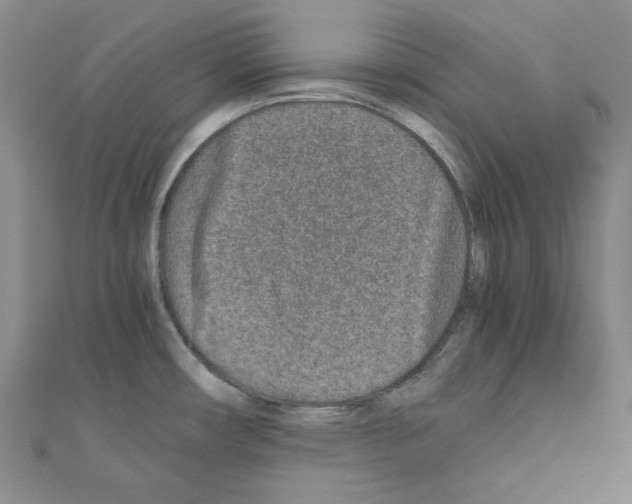 X0000110911482200907301531