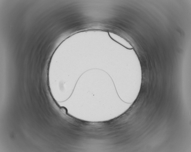 X0000110911483200907301531