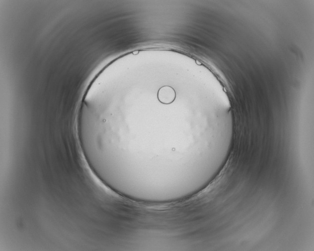 X0000110911484200907301531