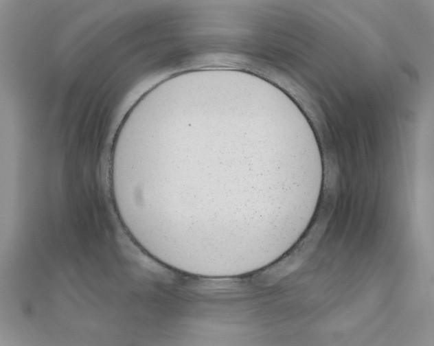 X0000110911486200907301531