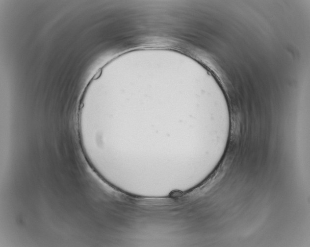 X0000110911487200907301531