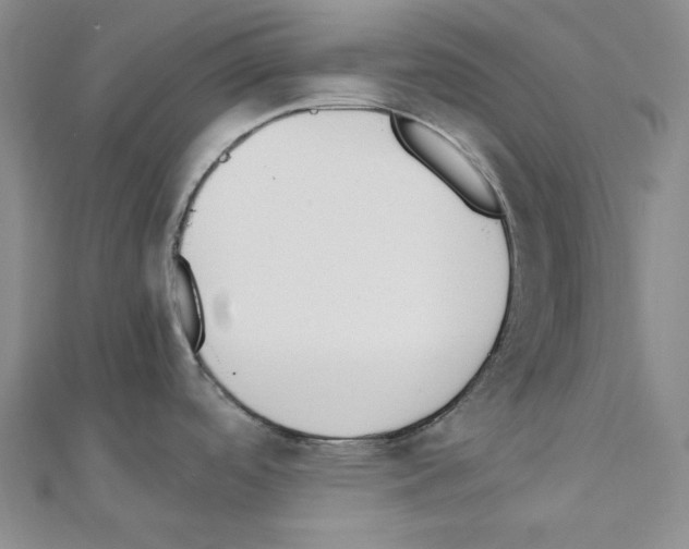 X0000110911488200907301531