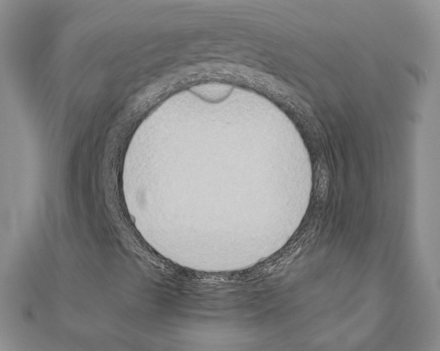 X0000110911489200907301530