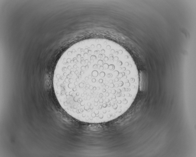 X0000110911491200907301531