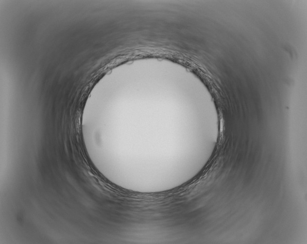 X0000110911492200907301531