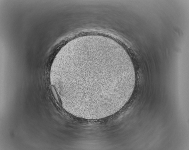 X0000110911494200907301531