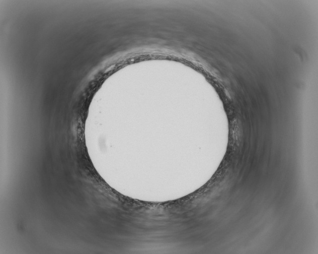 X0000110911495200907301531