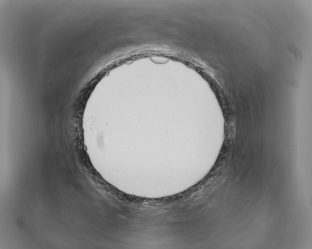 X0000110911496200907301531