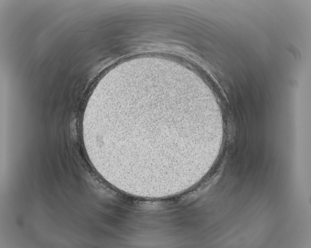 X0000110911497200907301531