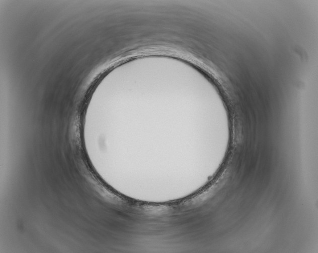 X0000110911498200907301531